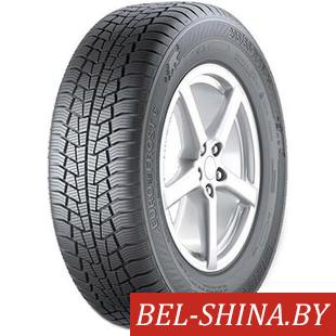 Автомобильные шины Gislaved Euro*Frost 6 245/45R18 100V